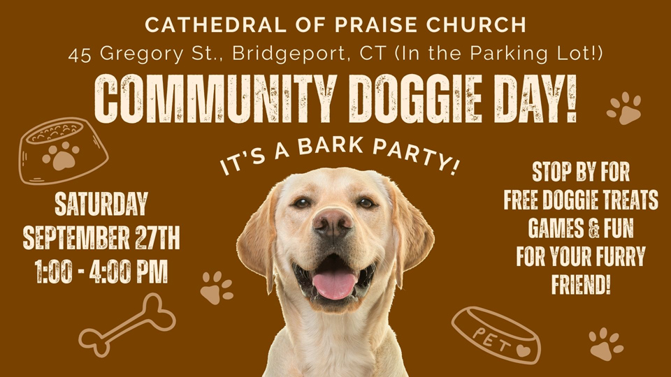 doggie-day